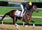 Room Service
<br><a target="blank" href="http://photos.bloodhorse.com/TripleCrown/2014-Triple-Crown/Kentucky-Derby-Workouts/i-9v7qDXz">Order This Photo</a>