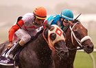 Ben's Cat Prevails in Laurel Dash Ben's Cat Prevails in Laurel Dash