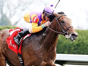 Medal Count Works Briskly at Churchill Downs Medal Count Works Briskly at Churchill Downs