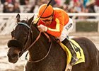 Teddy's Promise is scheduled to make her final start in the Santa Monica Stakes.