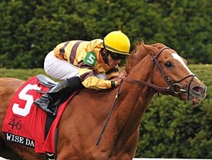 Wise Dan to Tote 128 in Firecracker Handicap Wise Dan to Tote 128 in Firecracker Handicap