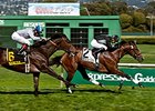 Pepper Crown won the San Francisco Mile on April 26.