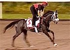 Singapore Cup - Doug Watson, Meandre, Dux Scholar Singapore Cup - Doug Watson, Meandre, Dux Scholar