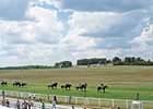 Kentucky Downs