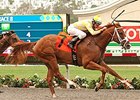 Skyway wins the Best Pal Stakes.