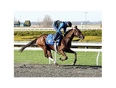 Big Bazinga's morning work at Keeneland April 6.