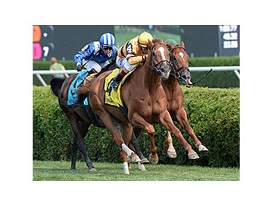 Wise Dan wins the Bernard Baruch Stakes.
<br><a target="blank" href="http://photos.bloodhorse.com/AtTheRaces-1/At-the-Races-2014/i-T6vKrg4">Order This Photo</a>