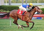 Candy Kitty wins the Ginger Brew Stakes.
<br><a target="blank" href="http://photos.bloodhorse.com/AtTheRaces-1/At-the-Races-2014/35724761_2vdnSX#!i=3007805913&k=VGzLsvx">Order This Photo</a>