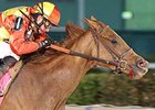 Rose to Gold wins the Houston Ladies Classic.