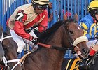 Wicked Strong finished 3rd in the Remsen Stakes.