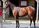 Figures Decline at F-T Midlantic Fall Sale Figures Decline at F-T Midlantic Fall Sale