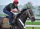 Ride On Curlin is scheduled to make his 12th career start in the Belmont Stakes.<br><a target="blank" href="http://photos.bloodhorse.com/TripleCrown/2014-Triple-Crown/Belmont-Stakes-146/i-9xbWVND">Order This Photo</a>