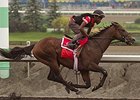 Lockout will break from post 2 in the Nearctic Stakes.