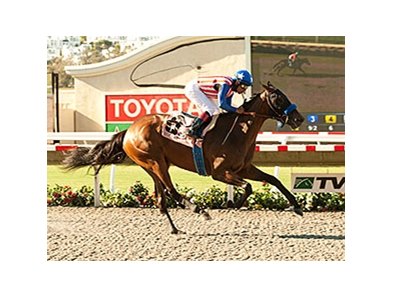 Luminance ran 5 furlongs in :57.39 in her maiden win.