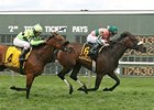 Somali Lemonade Squeezes Out James Penny Win Somali Lemonade Squeezes Out James Penny Win