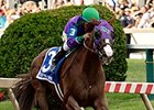 California Chrome
<br><a target="blank" href="http://photos.bloodhorse.com/TripleCrown/2014-Triple-Crown/Preakness-Stakes-139/i-kZb7sdV">Order This Photo</a>