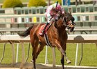 Fashion Plate cannot be caught in the Santa Anita Oaks.