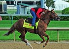 Pablo Del Monte <br><a target="blank" href="http://photos.bloodhorse.com/TripleCrown/2014-Triple-Crown/Kentucky-Derby-Workouts/i-MMvNj5c">Order This Photo</a>