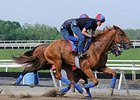 Ring Weekend worked 6 furlongs in 1:13 1/5 at Fair Hill on May 10.