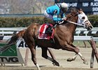 Withgreatpleasure and John Velazquez take the Ruffian at Aqueduct. <br><a target="blank" href="http://photos.bloodhorse.com/AtTheRaces-1/at-the-races-2013/27257665_QgCqdh#!i=2443612436&k=8H8ZL7m">Order This Photo</a>