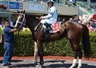 Divine Oath has 2 wins in 2 starts.