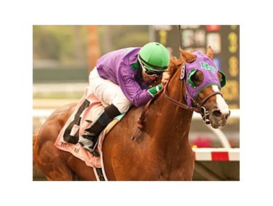 California Chrome