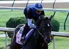 Ria Antonia makes her first start since the Preakness in the Iowa Oaks.<br><a target="blank" href="http://photos.bloodhorse.com/TripleCrown/2014-Triple-Crown/Kentucky-Derby-Workouts/i-T8dWVTr">Order This Photo</a>