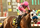 She's a Tiger Shows Stripes in Debutante Win She's a Tiger Shows Stripes in Debutante Win