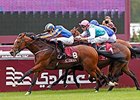 Gleneagles is the pre-race favorite for the Irish Two Thousand Guineas.<br><a target="blank" href="http://photos.bloodhorse.com/AtTheRaces-1/At-the-Races-2014/i-GztSwJ6">Order This Photo</a>