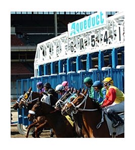 Aqueduct Racing