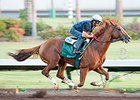 California Chrome Draws Rail in PA Derby California Chrome Draws Rail in PA Derby