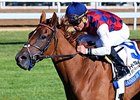 Rainha Da Bateria is the only stakes winner in the Jimmy Durante Stakes.