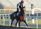 St Nicholas Abbey <br><a target="blank" href="http://photos.bloodhorse.com/AtTheRaces-1/at-the-races-2013/27257665_QgCqdh#!i=2431398889&k=ZFmPWgX">Order This Photo</a>