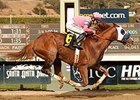 Scherzinger gets up late to win the Santa Monica Stakes.