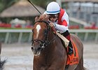 Storming Inti faces 10 in the American Turf Stakes.<br><a target="blank" href="http://photos.bloodhorse.com/AtTheRaces-1/at-the-races-2013/27257665_QgCqdh#!i=2940130272&k=xfZRfcR">Order This Photo</a>