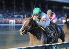 Palace Dazzles in Speedy Forego Triumph Palace Dazzles in Speedy Forego Triumph
