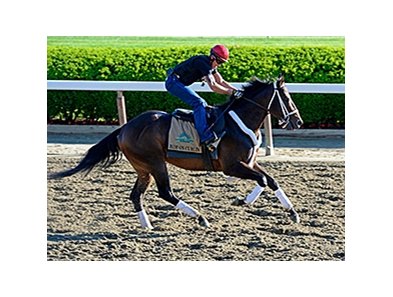 Ride On Curlin<br><a target="blank" href="http://photos.bloodhorse.com/TripleCrown/2014-Triple-Crown/Belmont-Stakes-146/i-qrS5GQC">Order This Photo</a>
