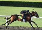 Hip No. 908, Never Give In, a Wildcat Heir colt out of the winning Roar mare Let It Roar, was one of 3 who went a quarter in :20 4/5.
