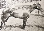 Clifford, Jockey Hughes to Join Hall of Fame Clifford, Jockey Hughes to Join Hall of Fame