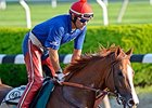 California Chrome
<br><a target="blank" href="http://photos.bloodhorse.com/TripleCrown/2014-Triple-Crown/Belmont-Stakes-146/i-nXXMhfz">Order This Photo</a>