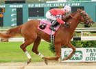 Pasco winner Mighty Brown runs in the colt and gelding division of the OBS Sprint Stakes.