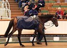 Starchitect sold for 110,000 guineas ($197,851 in United States funds).