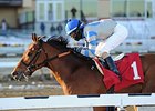 Noble Moon<br><a target="blank" href="http://photos.bloodhorse.com/AtTheRaces-1/At-the-Races-2014/35724761_2vdnSX#!i=3005507950&k=3Z79JZt">Order This Photo</a>