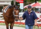 Angela Renee finished 2nd to Cavorting in the Adirondack Stakes (gr. II) Aug. 10.<br><a target="blank" href="http://photos.bloodhorse.com/AtTheRaces-1/At-the-Races-2014/i-rQZxDvw">Order This Photo</a>