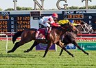 The topweight in the Mervin H. Muniz Jr. Handicap is Real Solution.