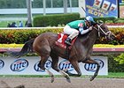 Sweet Whiskey won the 2014 Old Hat Stakes. <br><a target="blank"http://photos.bloodhorse.com/AtTheRaces-1/At-the-Races-2014/35724761_2vdnSX#!i=3005304950&k=9JPH6zc">Order This Photo</a>