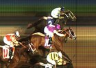 Triple Dead Heat for Win at Evangeline Downs Triple Dead Heat for Win at Evangeline Downs