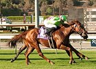 Hofmans Hopes to Add to Turf Sprint Success Hofmans Hopes to Add to Turf Sprint Success
