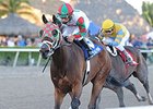 Ribo Bobo runs away from the field in the Florida Sunshine Millions Sprint.
<br><a target="blank" href="http://photos.bloodhorse.com/AtTheRaces-1/At-the-Races-2014/35724761_2vdnSX#!i=3029151710&k=mxdCrZx">Order This Photo</a>