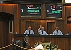 Hip No. 1121, a colt by Quality Road, topped the final session at $390,000.